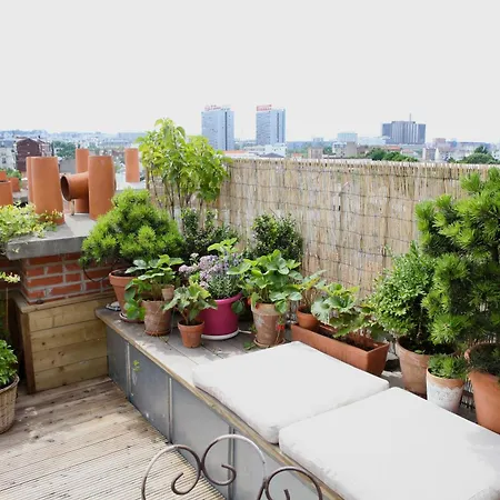 Le Rooftop Aux Puces - Terrasse Rooftop Apartment