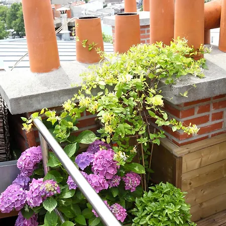 شقة Le Rooftop Aux Puces - Terrasse Rooftop